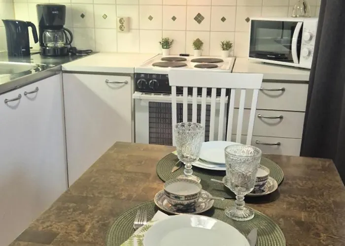 公寓 At Tottinkatu 萨翁林纳